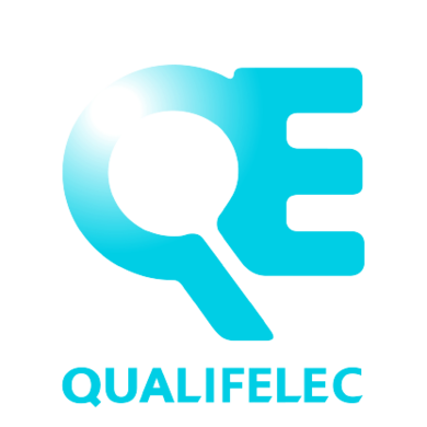 Logo_QUALIFELEC_VectorisÃ©_HQ-removebg-preview (1)